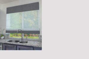 Raffrollos Voile (Transparente)